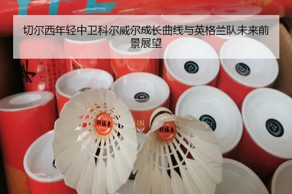 切尔西年轻中卫科尔威尔成长曲线与英格兰队未来前景展望